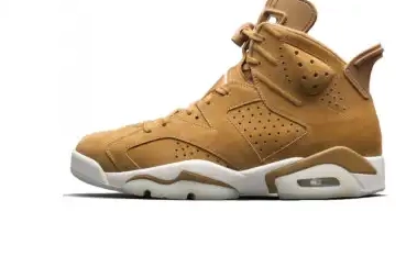 Retro Wheat Jordan 6 0530